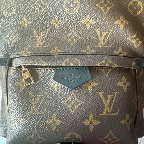 Louis Vuitton Palm Spring Backpack main image 9